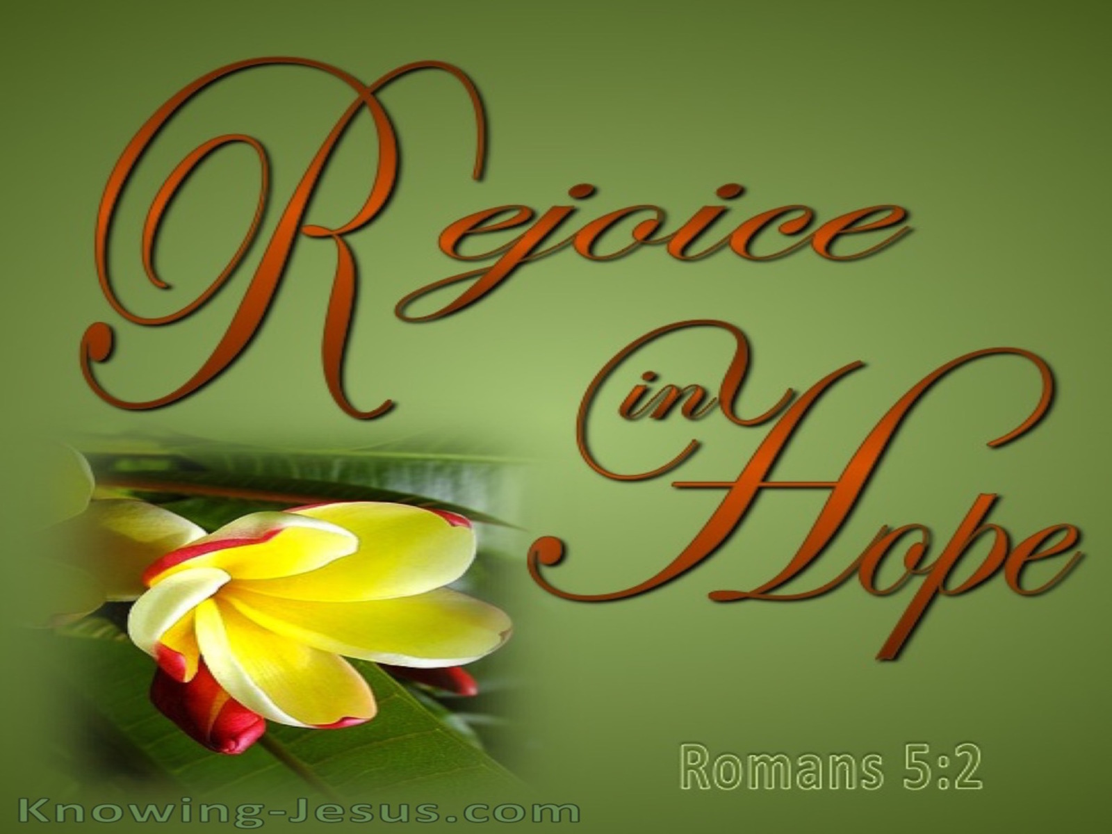 Romans 12:12 Rejoice In Hope (green)